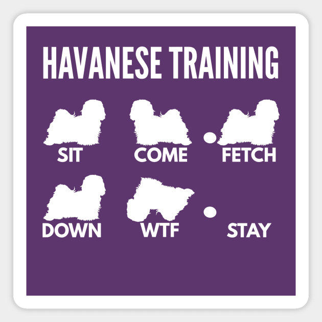 Havanese Training Havanese Dog Tricks Magnet by DoggyStyles